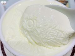 -义顺牛奶公司(新马路老店)