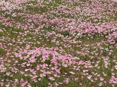 -汉长安城未央宫国家考古遗址公园