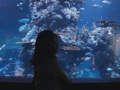 -圣淘沙名胜世界
