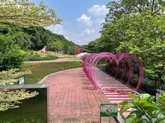 -佛山华盖山公园