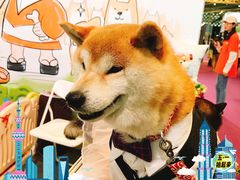 -东浩兰生上海世博展览馆