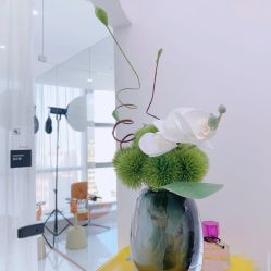 -臣丽纹眉品牌连锁