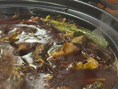 -金海椒罐罐鲢鱼(东方桂苑店)