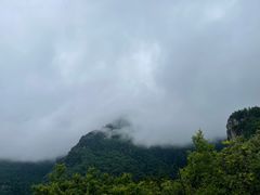 -牛背梁国家森林公园