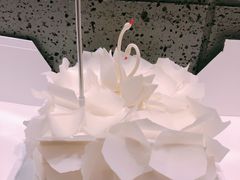 至美14cmx14cm-BLACKSWAN黑天鹅(环球店)