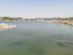 -东郊湿地公园