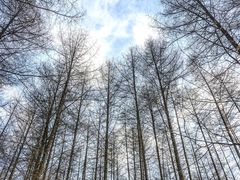 -光雾山旅游景区