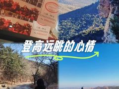 -金龙寺国家森林公园