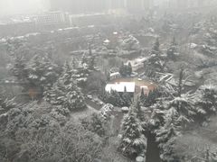 -西苑公园