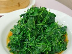 -金时代顺风大酒店(静安大融城店)