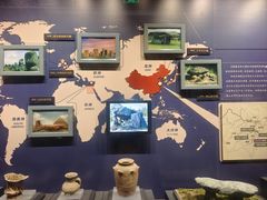 -温州博物馆
