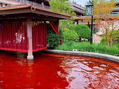 -天津东丽湖恒大酒店-温泉自助餐厅