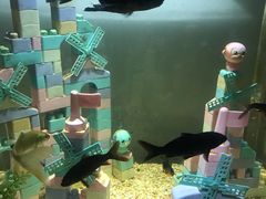 -常州海昌海洋探索馆