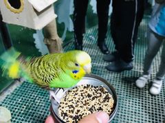 -白鹿仓冰雪海洋世界