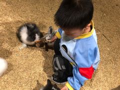 -KKV(深圳宏发大仟里店)