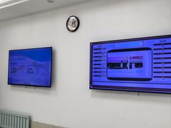 -北京观赏动物医院·24小时大型综合·猫专科·异宠专科
