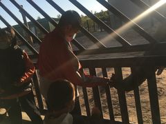 -鄂尔多斯野生动物园