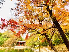 -钓鱼台国宾馆