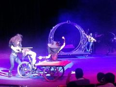 -珠海横琴长隆《卡卡虎奇遇记》