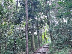 -青龙山国家森林公园