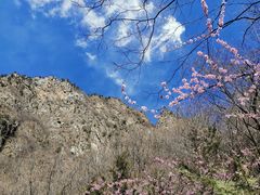 -圣莲山风景区