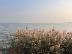 -天津东丽湖风景区