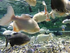 -成都浩海立方海洋公园