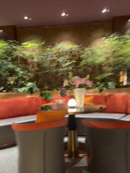 -花隐·美芙炫海菲秀皮肤管理中心