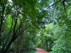 -长春市南湖公园