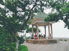 -青岛海滨风景区小鱼山