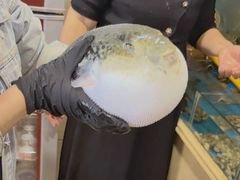 -天正河鲀·河豚亭(大连店)