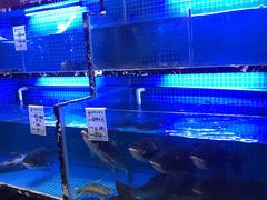 -姜君·千岛湖鱼头馆(浦东大道店)