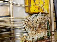 -山野的朋友露营炭火烤肉