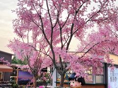 -首开·龙湖成都西宸天街