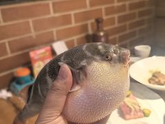 -永安鱼庄·镇江菜(丁卯店)