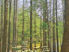 -青龙山国家森林公园