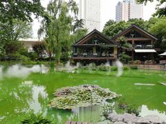 -静安公园(静安寺街道)