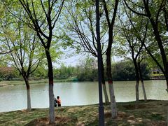 -西安浐灞国家湿地公园
