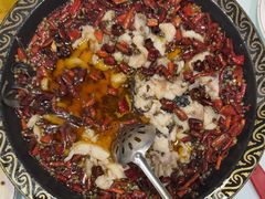 -金三可市井水煮鱼(金碧园店)