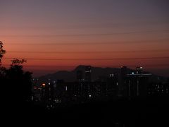 -老周记顺德双皮奶