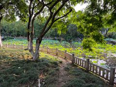 -东莞市可园博物馆