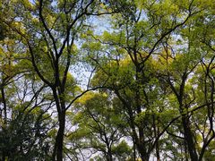 -南山植物园