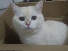 -半岛宠物医院24小时(科华中路店)
