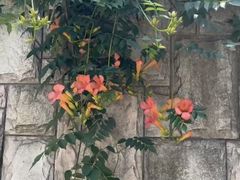 -常州古运河南大街文化旅游区-人民公园