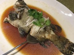 古法蒸青斑-荣粤酒家·融合粤菜