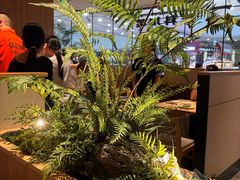 -新太二·鲜料川菜(花都融创茂店)