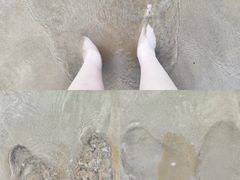 -日照海滨国家森林公园