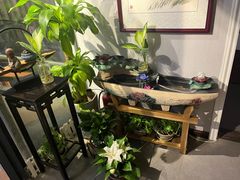 -净耳阁采耳文化体验馆(华强北店)