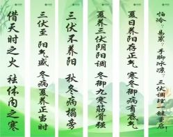 -YESIDO椰岛美容