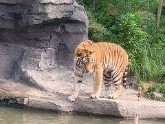 -宁波野生动物园